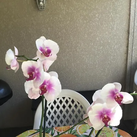 Appt T2 Standing Avec Piscine Et Terrasse *