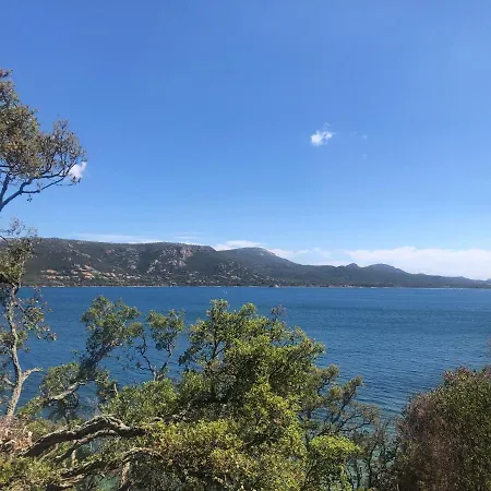 Appt T2 Standing Avec Piscine Et Terrasse Lägenhet *