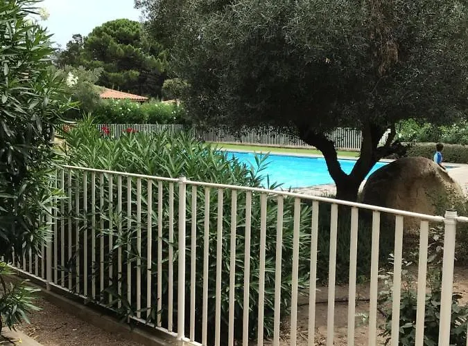 Appt T2 Standing Avec Piscine Et Terrasse * Porto Vecchio