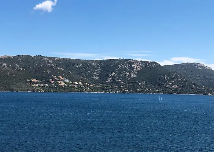 Appt T2 Standing Avec Piscine Et Terrasse Porto Vecchio