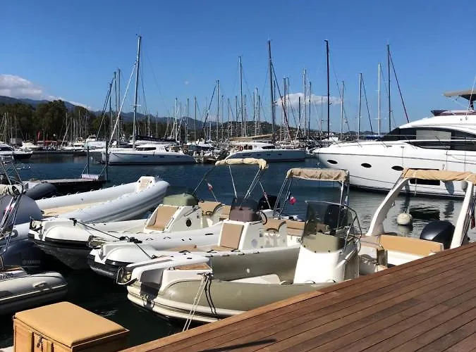 Appt T2 Standing Avec Piscine Et Terrasse * Porto Vecchio