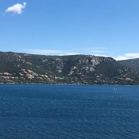 Appt T2 Standing Avec Piscine Et Terrasse Πόρτο Βέκιο