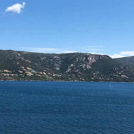 Appt T2 Standing Avec Piscine Et Terrasse Porto-Vecchio (Corsica)