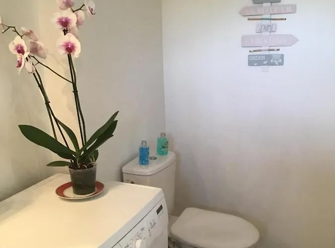 Apartmán Appt T2 Standing Avec Piscine Et Terrasse